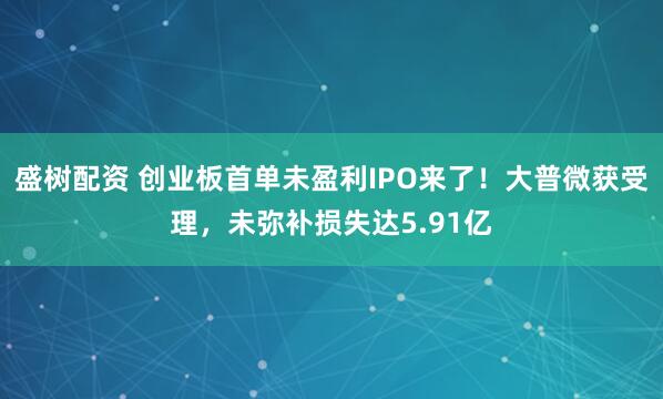 盛树配资 创业板首单未盈利IPO来了！大普微获受理，未弥补损失达5.91亿